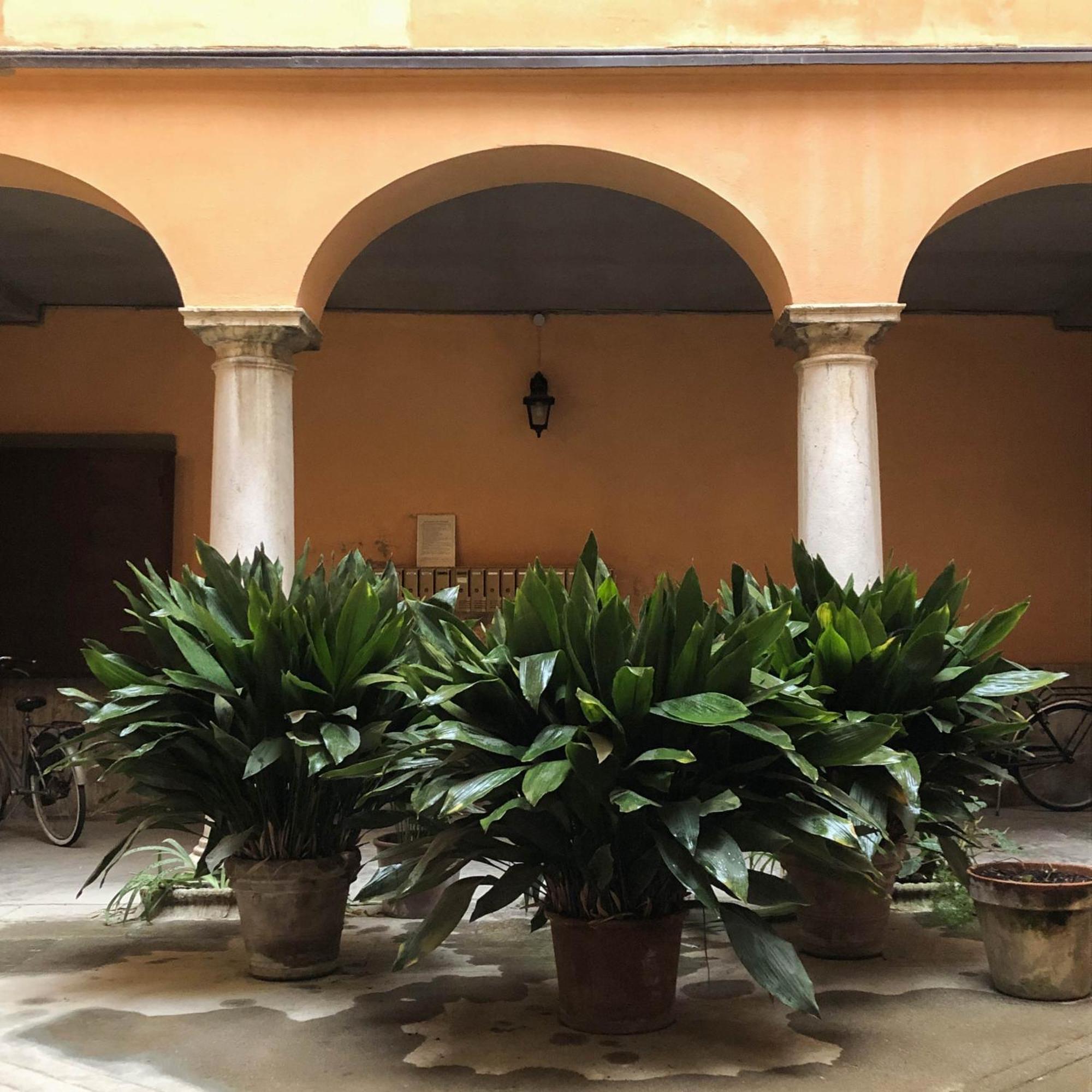 Casa Giulietta Lejlighed Cremona Eksteriør billede